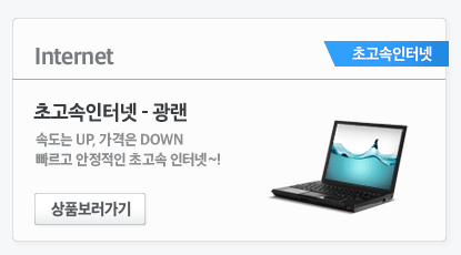 인터넷